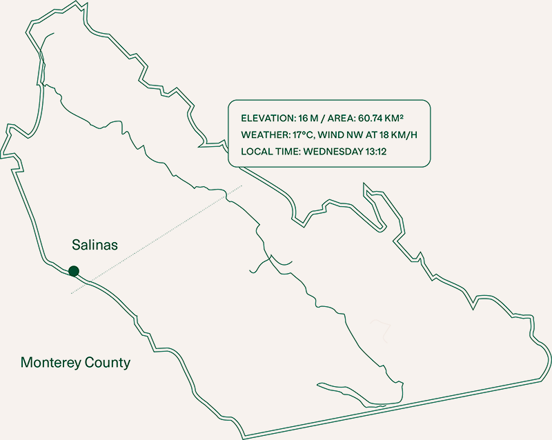 Mapa-Salinas